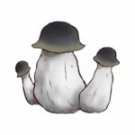 Grzyby Psilocybe cubensis odmiany APE (Albino Penis Envy) z growkit full auto.