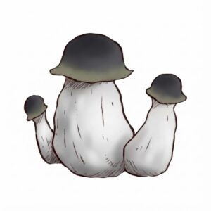 Grzyby Psilocybe cubensis odmiany APE (Albino Penis Envy) z growkit full auto.