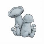 Grzyby Jack Rabbit Psilocybe cubensis z growkit full auto.