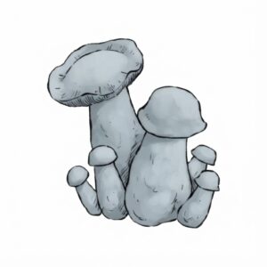 Grzyby Jack Rabbit Psilocybe cubensis z growkit full auto.