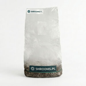 Oryginalny Growkit Full Auto Shrooms.pl – sterylny zestaw badawczy z grzybnią Psilocybe Cubensis
