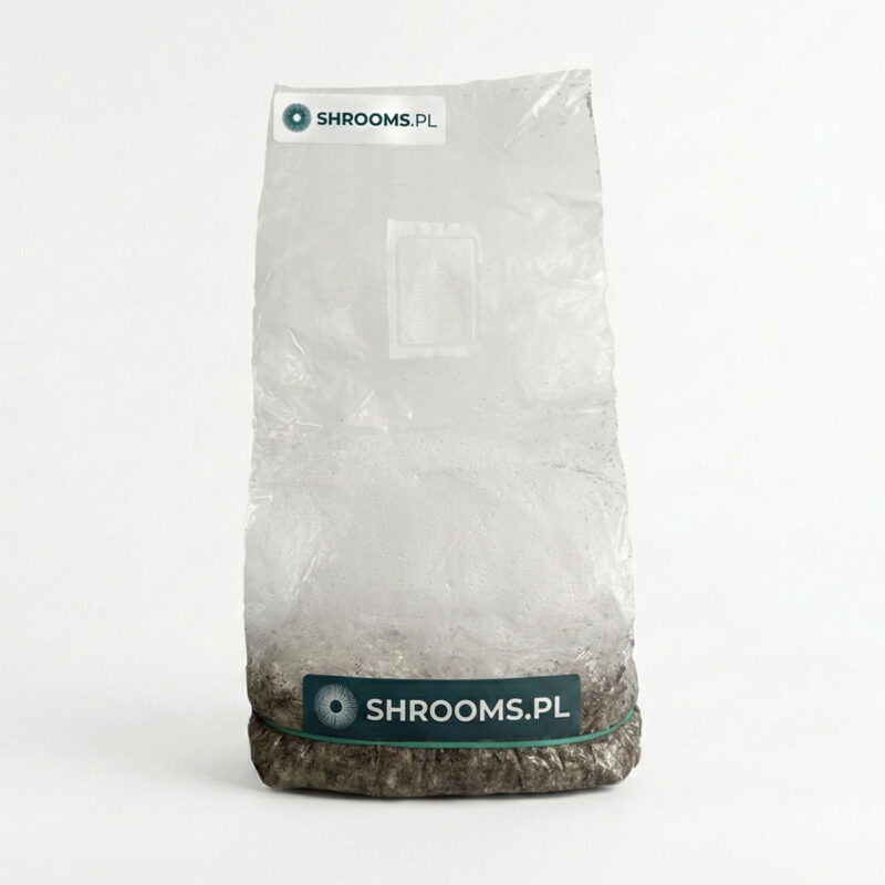 Melmack Melmack PE Growkit Full Auto - SHROOMS.pl